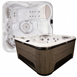 Спа бассейн Hydropool Signature 579 Gold